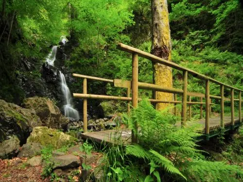 Cascade du Bruscher et sentier botanique - Randonnées & promenades à Ranspach