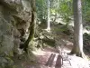 La cascade de la Pissoire et l'église du Haut du Tôt - Randonnées & promenades au Tholy