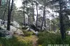 Cave Art Path - Hikes & walks in Le Vaudoué