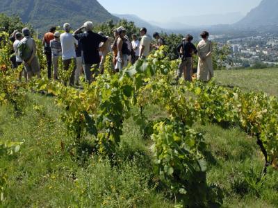 randonnee pedestre albertville