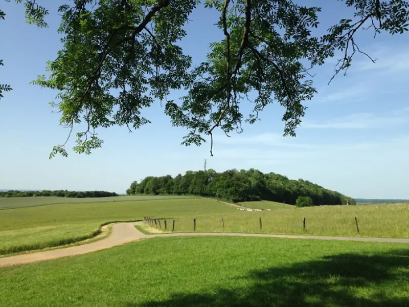 Circuit la Vierge - Randonnées & promenades à Aouze