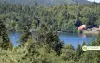 Circuit Volcan en Liberté - Le Lac du Bouchet - Randonnées & promenades à Cayres