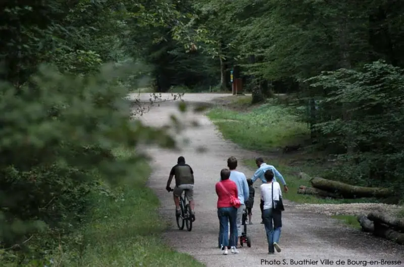 Circuito do bosque de carvalho de Seillon - Caminhadas & passeios em Péronnas