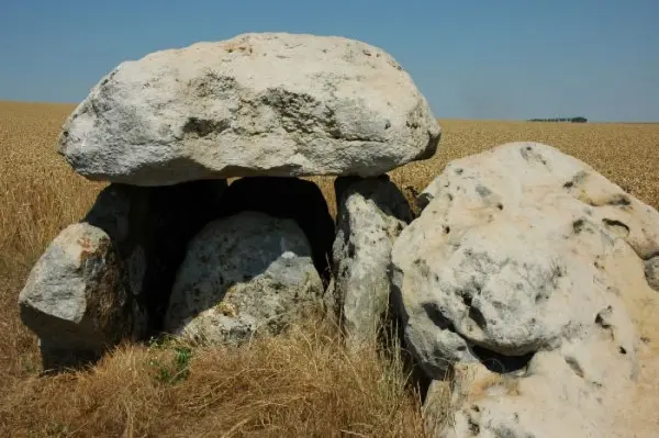 Circuito dei dolmen e dei lucidatori - Escursioni e passeggiate a Marcilly-le-Hayer