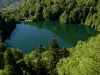 Circuito de 3 lagos - Caminhadas & passeios em Rimbach-près-Masevaux