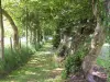 Fao Trail (Grand-Rullecourt) - Hikes & walks in Grand-Rullecourt