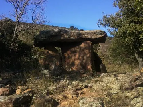 Felluns dos dolmens no aqueduto - Caminhadas & passeios em Feilluns