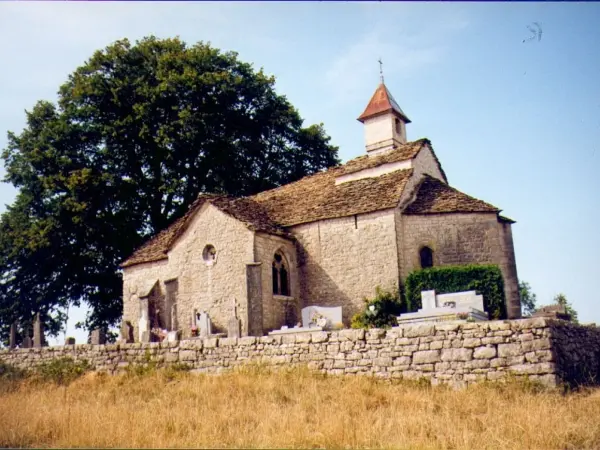 Hiking Monts Berthiand - Hikes & walks in Nurieux-Volognat