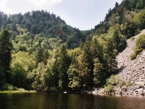 Lac du Fischboedlé - Randonnées & promenades à Metzeral