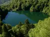 3 lakes circuit - Hikes & walks in Rimbach-près-Masevaux