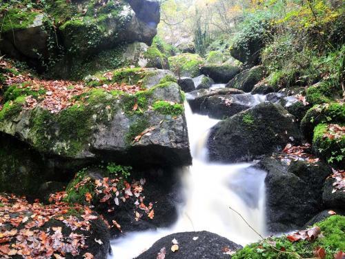 Landes de Locarn et gorges du Corong - Randonnées & promenades à Locarn