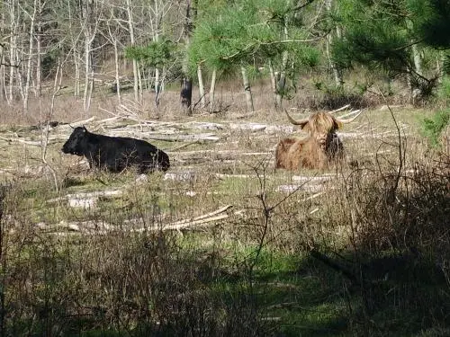 The Mont Saint Frieux Dunes - Hikes & walks in Dannes