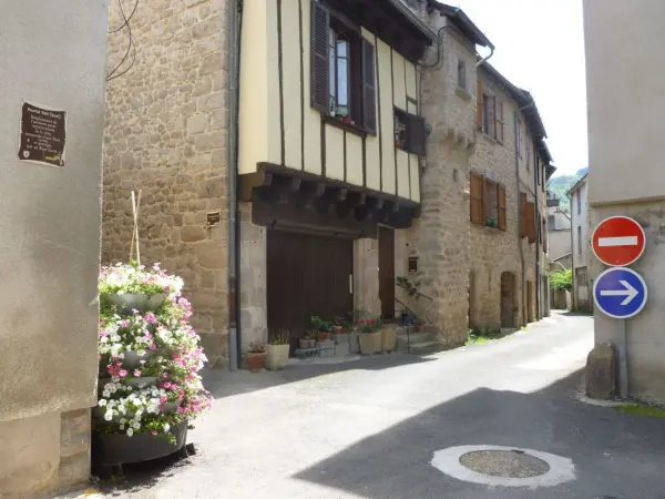 Ontdekkingstocht door het historische centrum van Entraygues - Wandeltochten & wandelingen in Entraygues-sur-Truyère
