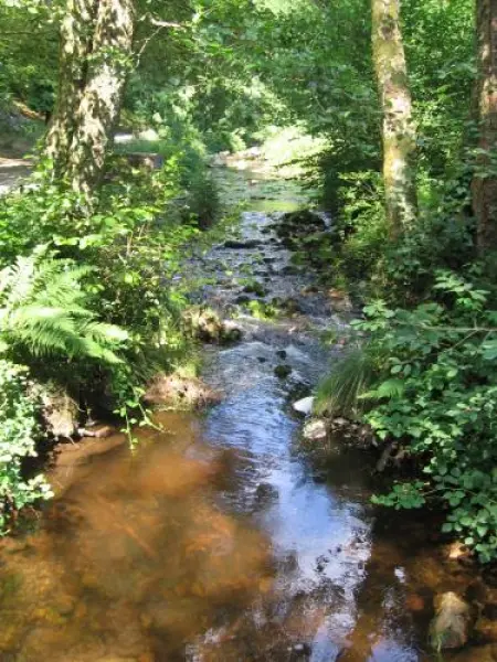 Orchard Gorge - Caminhadas & passeios em Bourganeuf