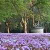 Park van het kasteel van Ternay - Wandeltochten & wandelingen in Ternay