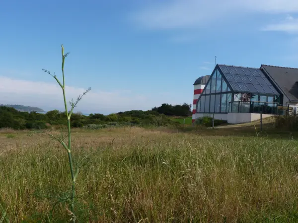 Pissoison de la Casa de la Bahía - Travesías y excursiones en Hillion