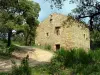 Le plat du Moulin ou Chemin de Fica - Randonnées & promenades à Pietrosella