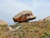 Ploumanac'hのグランドナチュラルサイト - 震える岩 (© JE)