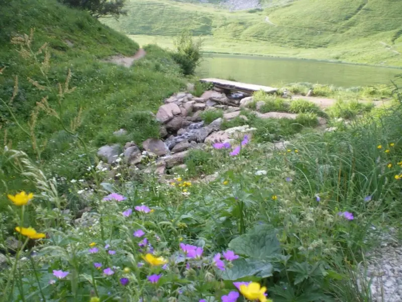 Randonnée : boucle des Thoules au lac d'Arvouin - Randonnées & promenades à La Chapelle-d'Abondance