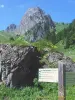 Randonnée : le tour du Mont Brion - Randonnées & promenades à Abondance