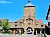 Reiseroute durch die Altstadt von Molsheim - Wanderungen & Spaziergänge in Molsheim