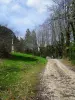 La Roche d'Au-Delà - Randonnées & promenades à Nantua