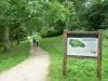 Sendero de las Fuentes en el Bosque de Orleans - Travesías y excursiones en Les Bordes