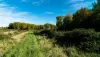 Sentiero dell'olivello spinoso - Escursioni e passeggiate a Berville-sur-Mer