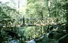 Serva Waterfalls - Hikes & walks in Rothau