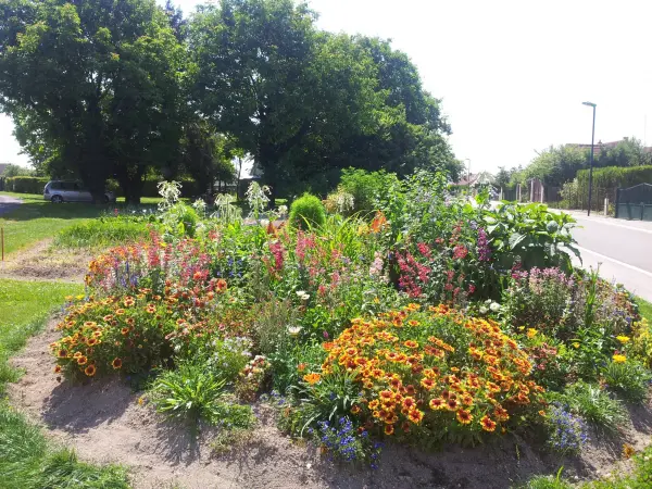Sierlijke Vouzy rit Uitstapje in Vouzy