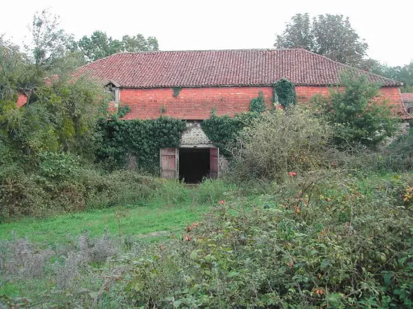 Sul de Isle Jourdain, no coração do vale de Vienne - Caminhadas & passeios em L'Isle-Jourdain