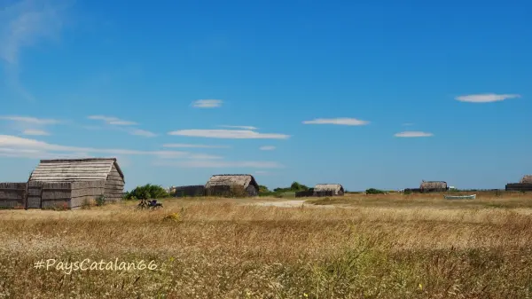 Teich von Canet-en-Roussillon - Wanderungen & Spaziergänge in Saint-Cyprien-Plage