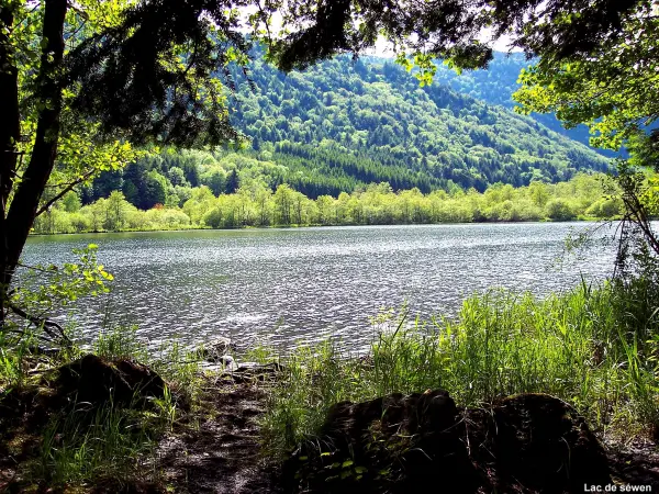 Tour pelo Lago - Caminhadas & passeios em Sewen