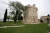 Le tour de Port Saint Louis du Rhône - La ville où la terre est spectacle - Randonnées & promenades à Port-Saint-Louis-du-Rhône
