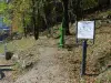 Trilha Esporte-Saúde-Natureza de Bois Chaniet - Caminhadas & passeios em La Léchère