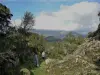 Vallée d'Arce - Hikes & walks in Sotta