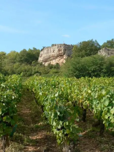 Vaux Valley y sendero botánico - Travesías y excursiones en Saint-Martin-sous-Montaigu