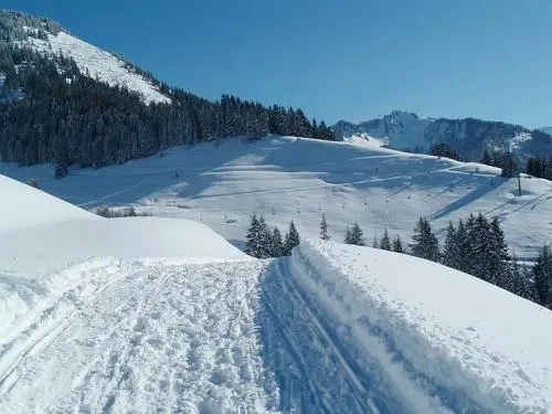 Ski Resort of Abondance - Leisure centre in Abondance