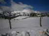 Playing in the snow