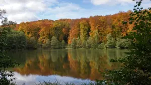 Etang de la Garde à Boulincourt