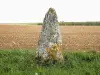 Menhir von Pierre-Fiche (© J.E)