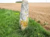 Menhir von Pierre-Fiche (© J.E)