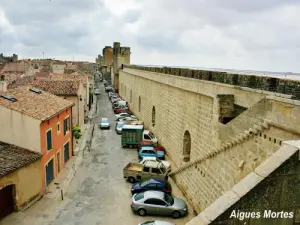 Muralla sur vista desde la pasarela (© J.E)