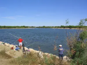 The Ponent pond