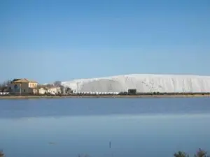 Aigues-Mortes, la solución salina