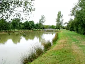 Um bom lugar para os pescadores