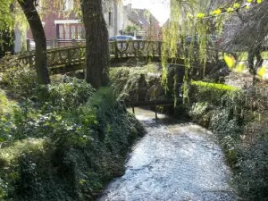 De openbare tuin van Albert