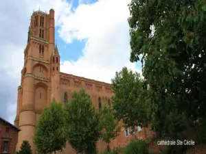 Cattedrale di Santa Cecilia