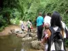 En la Echappée verte, caminata en el corazón de la ciudad de Albi