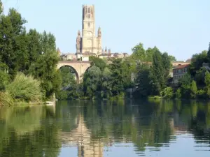 Albi and the Tarn by boat